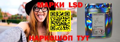 прущие крисы Бийск