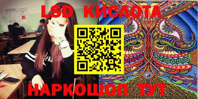 прущие крисы Бийск