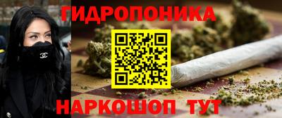 прущие крисы Бийск