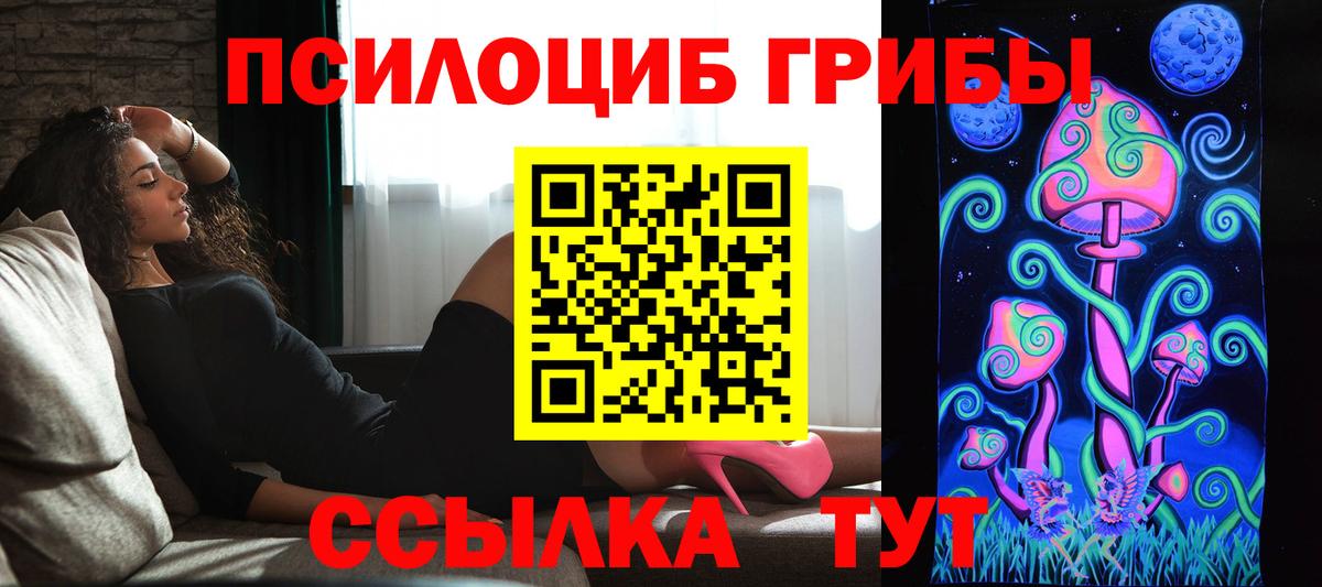 Псилоцибиновые грибы прущие грибы Кириши